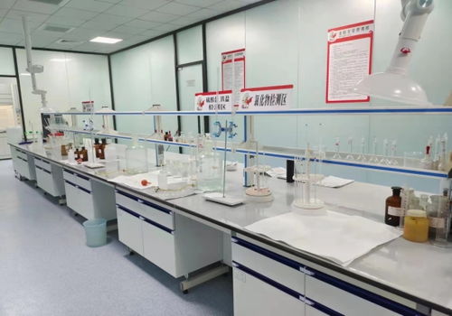 河北邢臺 “小巨人”成香餑餑，領跑產業技術開發加速度